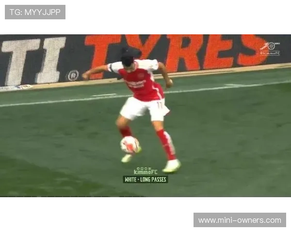 足总杯伤退疑云本怀特否认受伤